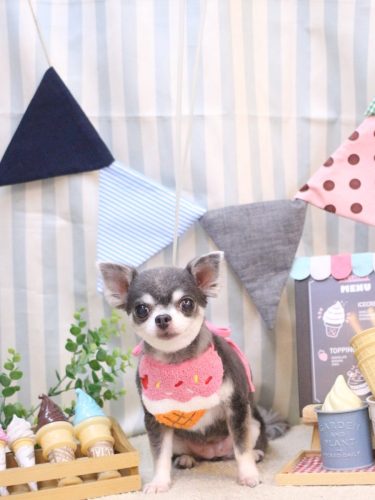 20250501ブルーちゃん